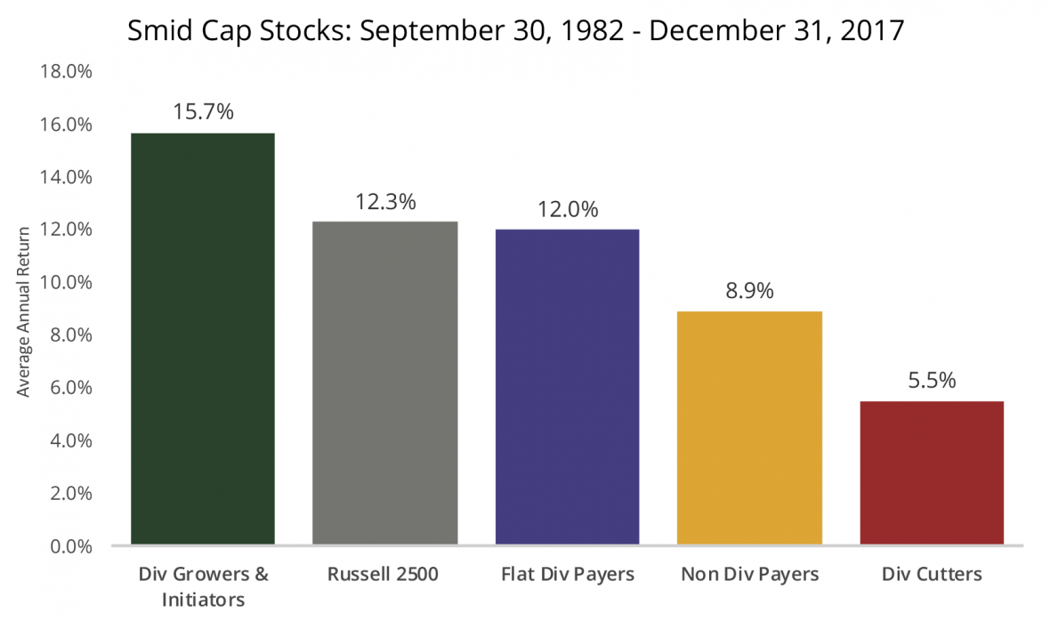 Smid Cap Bar Graph