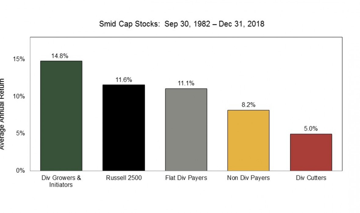 Smid Cap Bar Graph