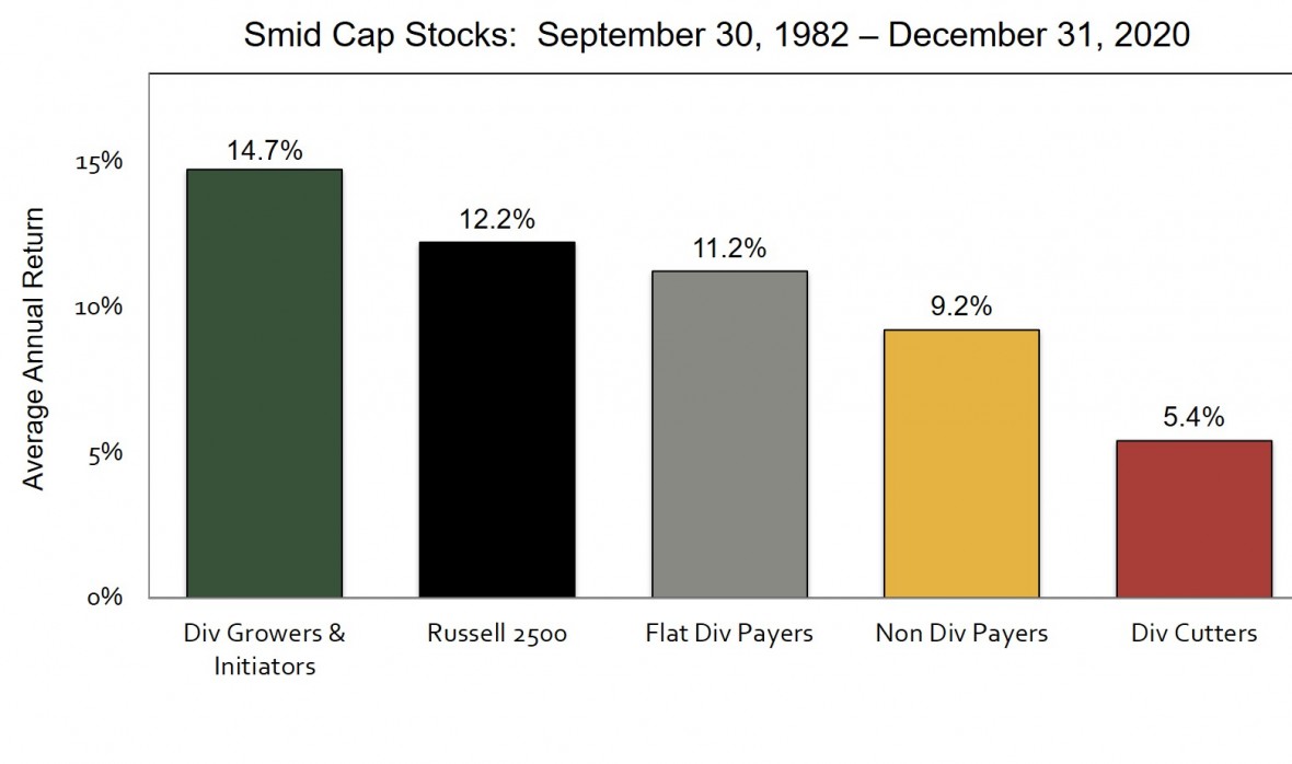 Smid Cap Bar Graph