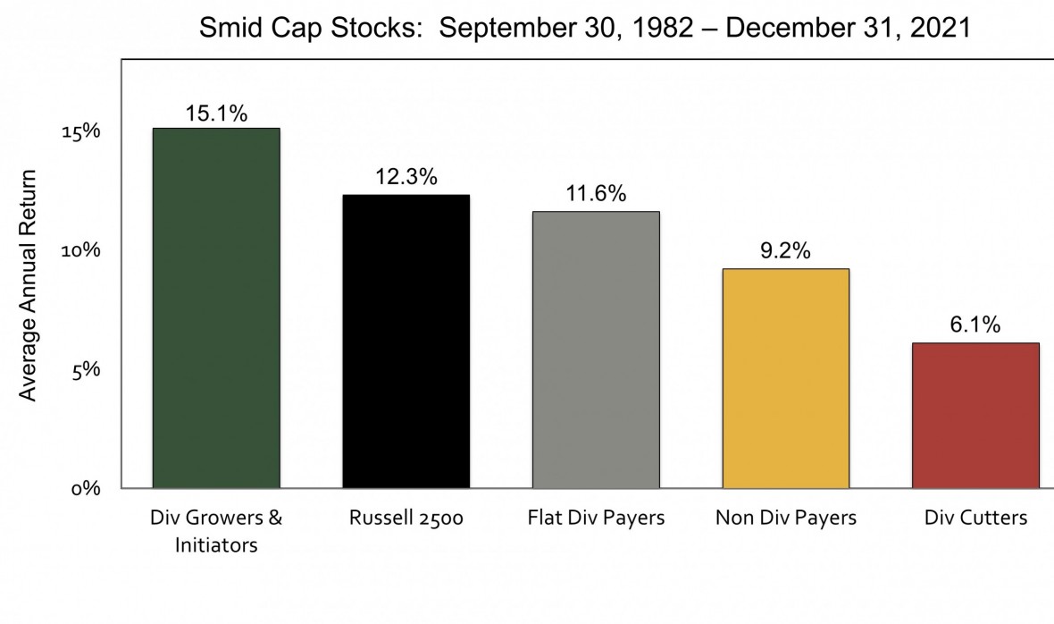 Smid Cap Bar Graph