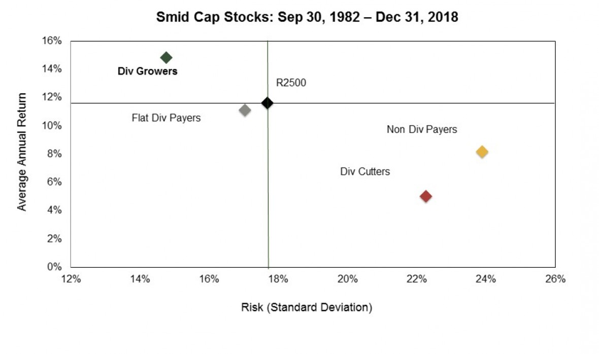 Smid Cap Scatter Graph