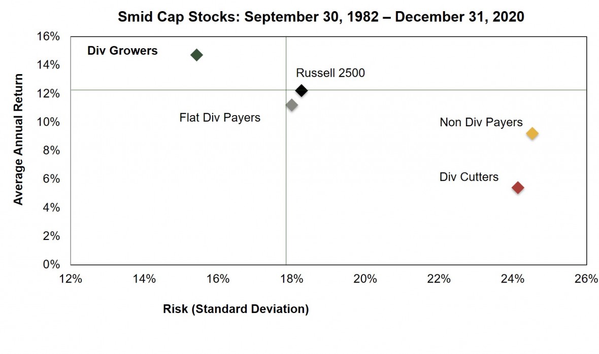 Smid Cap Scatter Graph