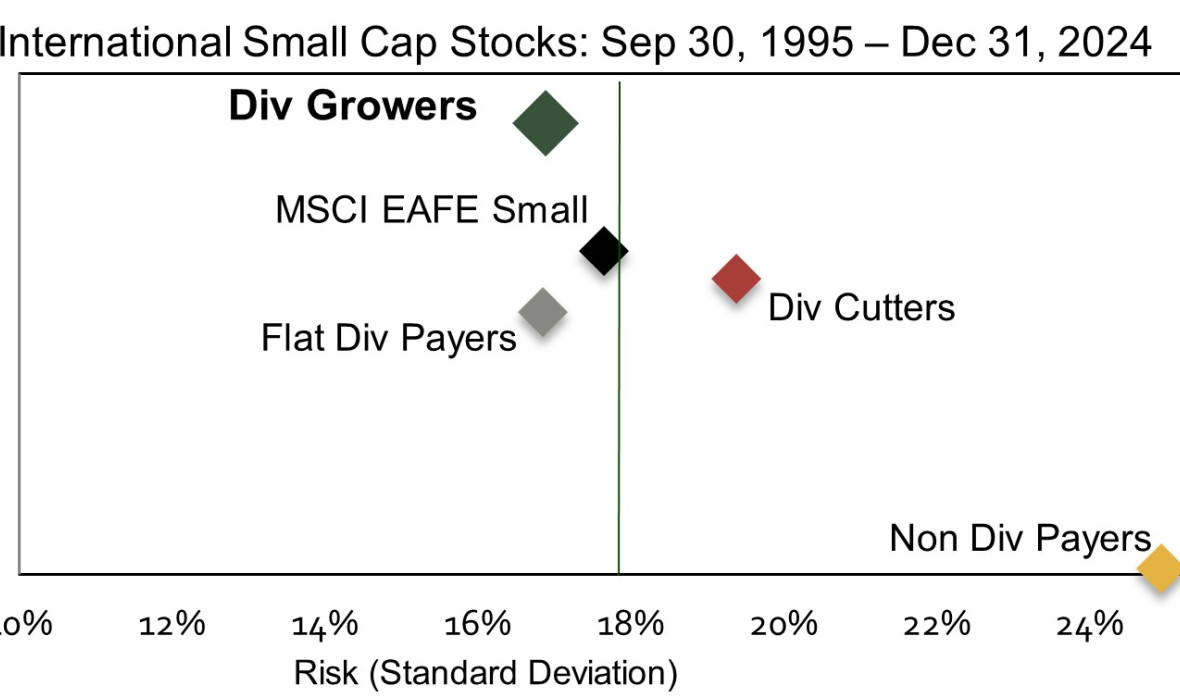 International Small Cap Scatter