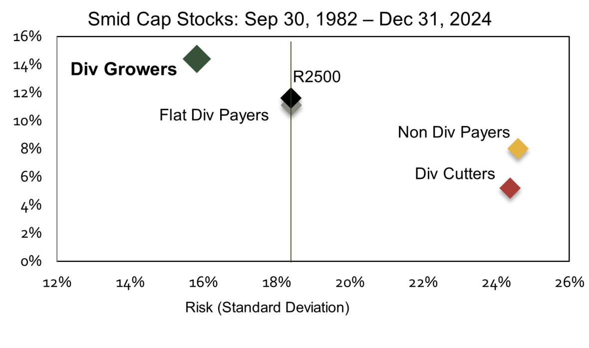 Smid Cap Scatter Graph