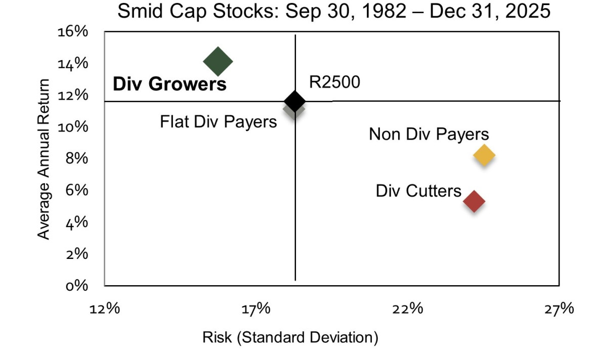 Smid Cap Scatter Graph